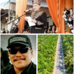 IMG-20260430-WA0039(1)